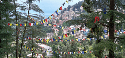 Best Tourist Places in Dharamshala You Shouldn't Miss