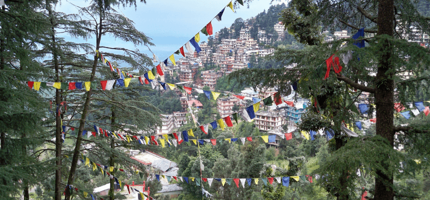 Best Tourist Places in Dharamshala You Shouldn't Miss